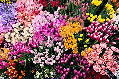 《魔兽世界》或将添加性别自定义功能 尊重LGBTQ