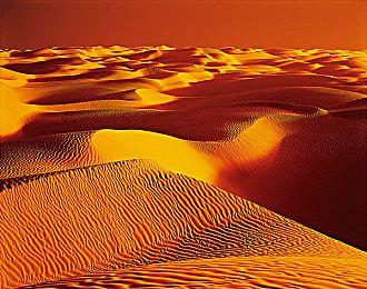 《最后生还者》发售9周年 顽皮狗总监发布贺图